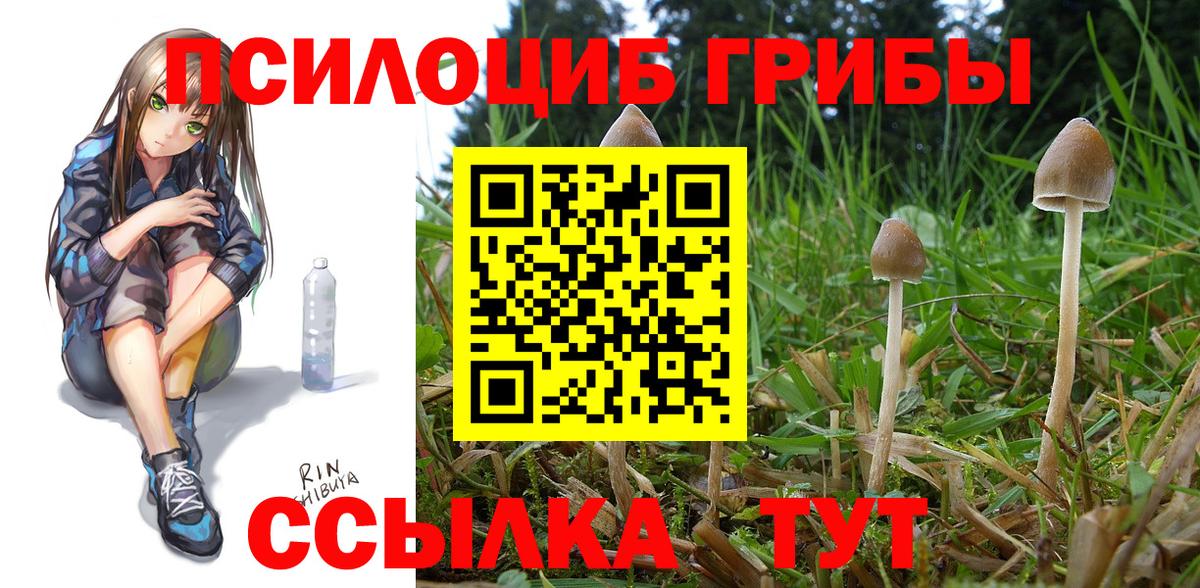 Галлюциногенные грибы MAGIC MUSHROOMS  Вход с VPN  Касимов  Галлюциногенные грибы Cubensis 