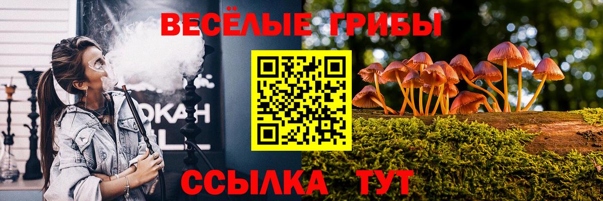Галлюциногенные грибы Psilocybe Касимов